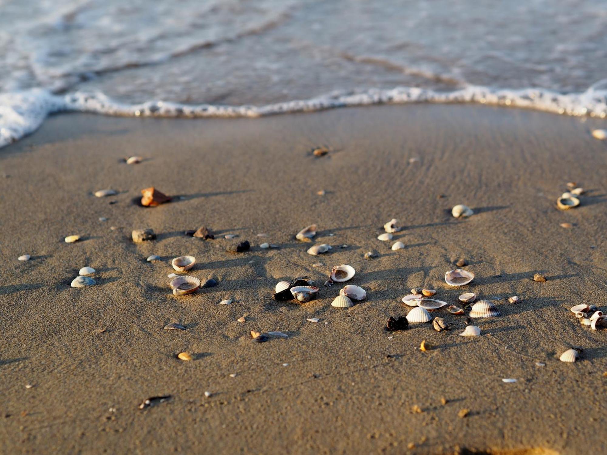 Enjoy Sun, Sand, And Shopping In Our Apartment Bibione